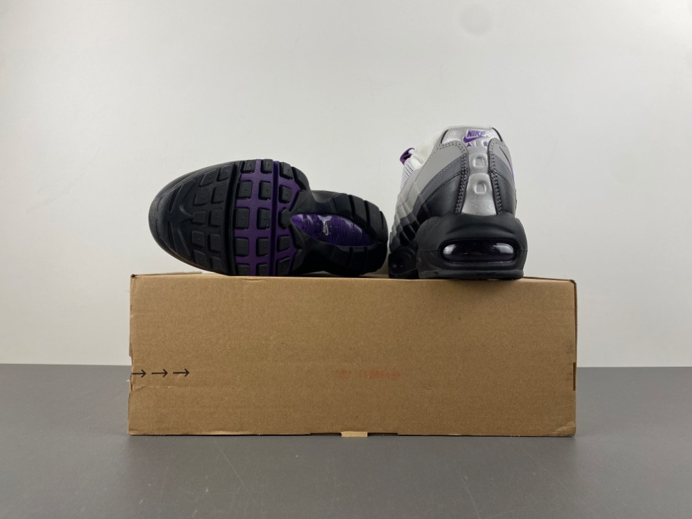 Nike Air Max 95 Disco Purple (W) - DH8015-003