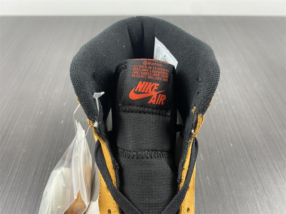 jordan 1 high element gore-tex light curry db2889-700
