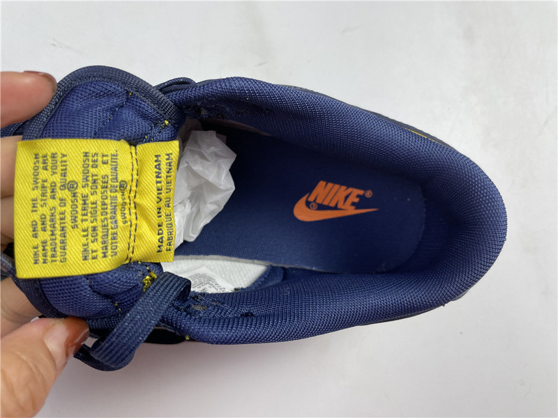 nike dunk low michigan dd1391-700