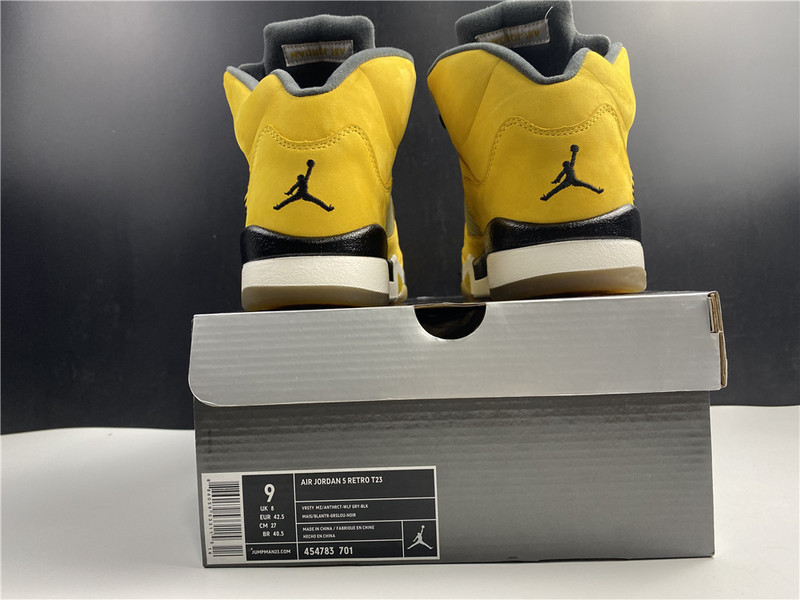 air jordan tokyo 454783-701